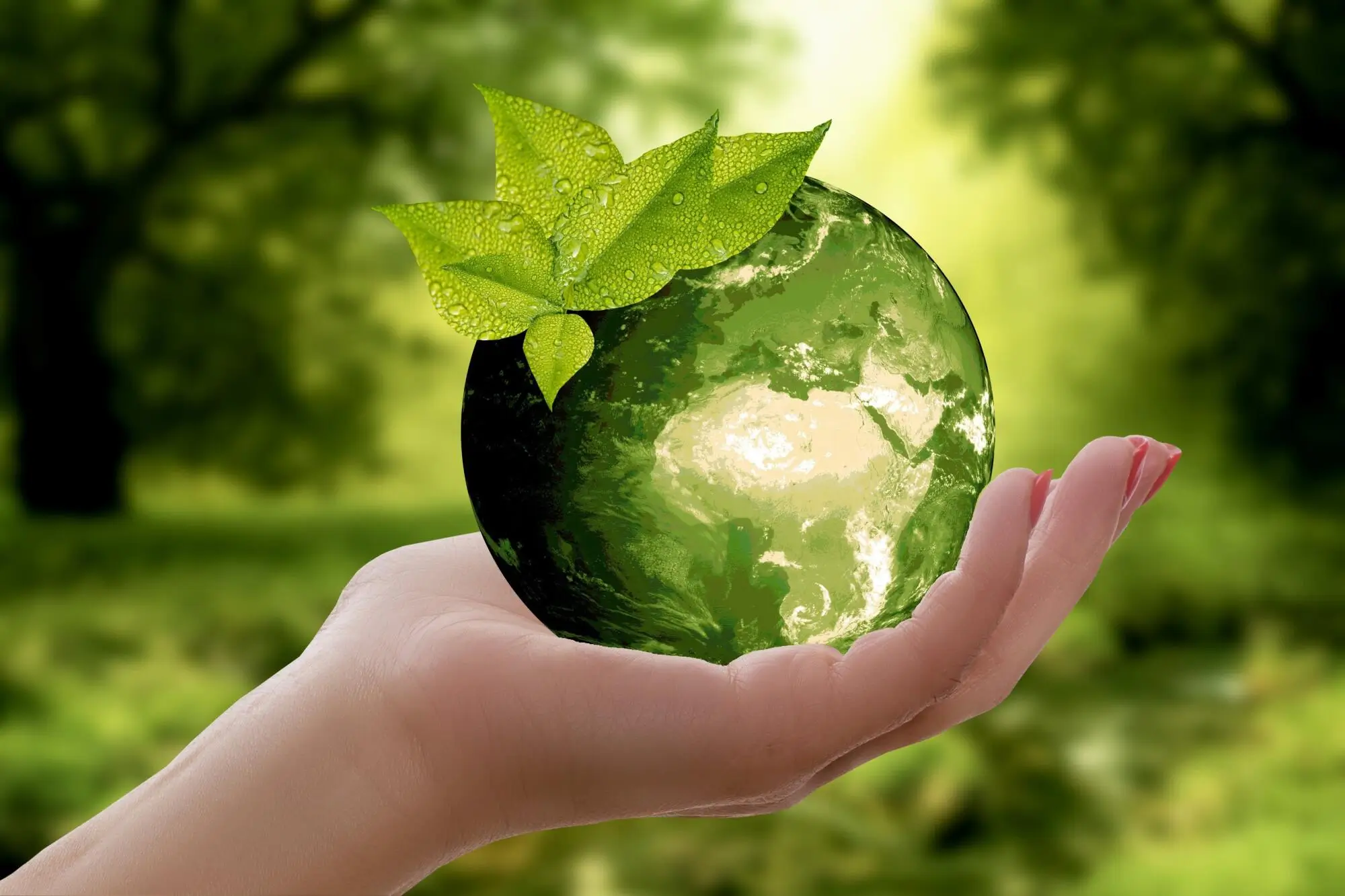 5 Pillars of Sustainable Property Management in Boston, MA